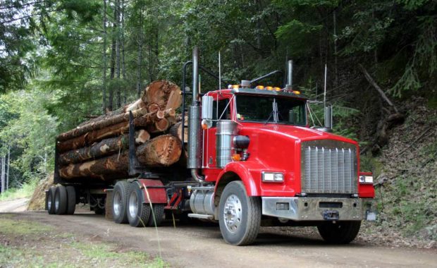 safety manuals and safety services for transportation industry